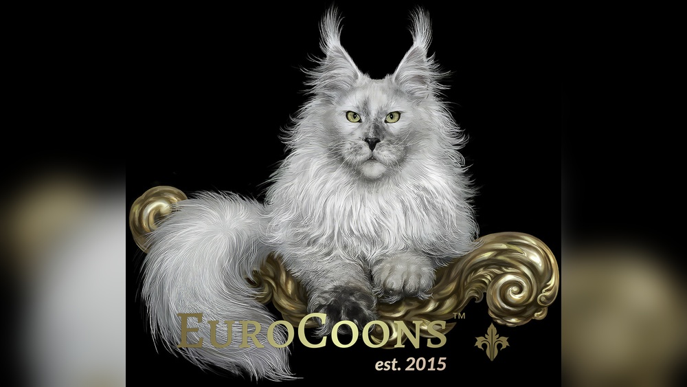 Is Cat Breeding Ethical: Uncovering the Truth Behind Practices