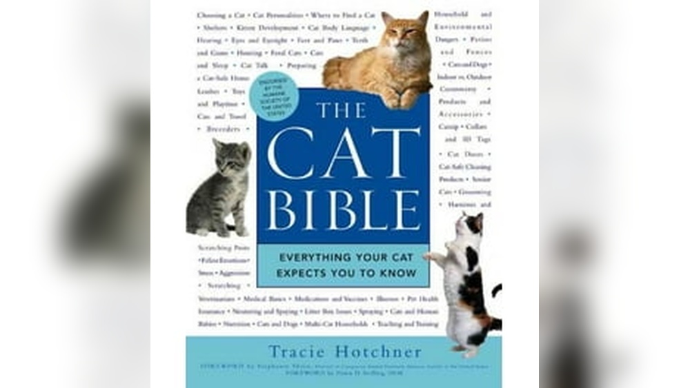 Is Cat Breeding Profitable: Unlocking Lucrative Opportunities