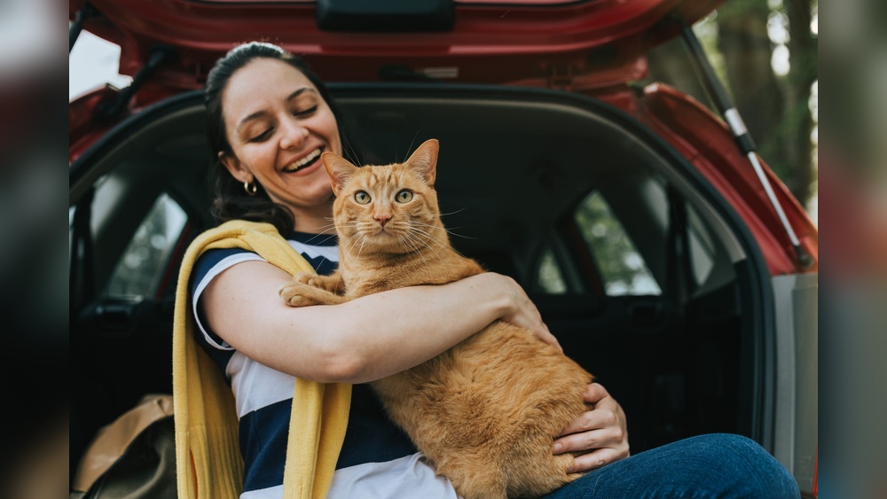 Is It Okay to Travel With a Cat: Essential Tips for Stress-Free Trips