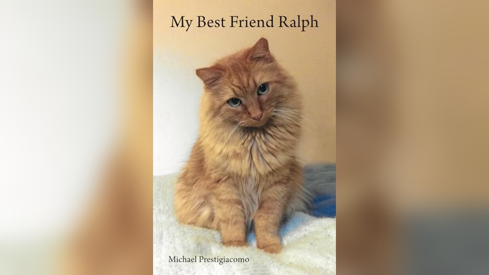 My Cat Was My Best Friend: Heartwarming Stories and Lessons Learned