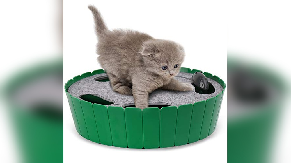 Pets Know Best Pop N’ Play Cat Toy: Ultimate Interactive Fun for Cats
