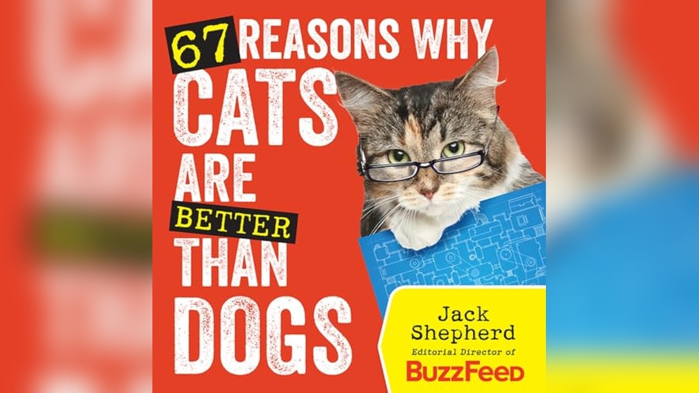 Reasons Why Cats are the Best Pets