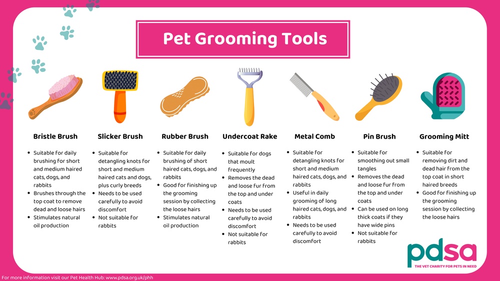 Should I Use Grooming Tools on My Cat: Essential Tips Revealed