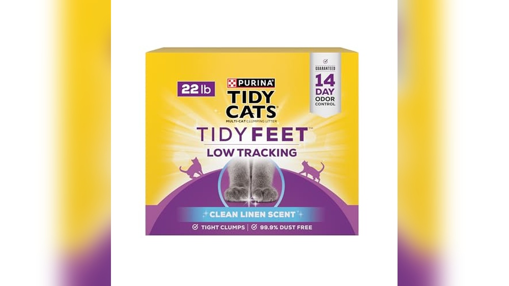 The Best Non Tracking Cat Litter for a Cleaner, Fresher Home Environment