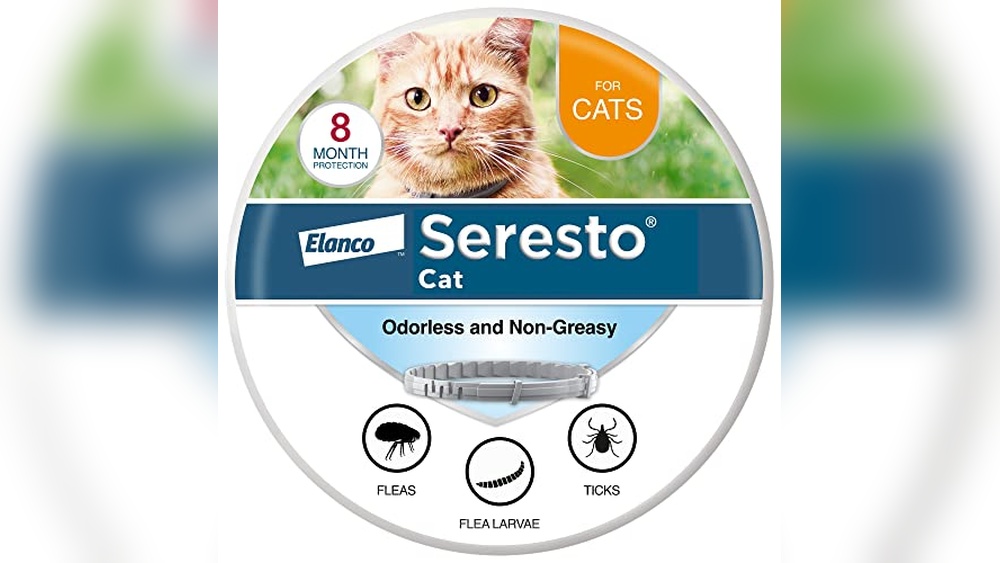 What are the Best Flea Collars for Cats: Top Picks for Effective Protection