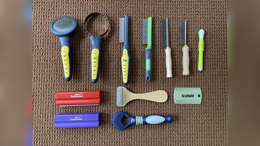 What are the Best Grooming Products for Cats: Top Picks Revealed