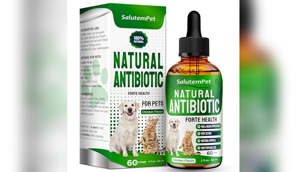 What Cat Breed is Best for Me Quiz: Find Your Perfect Feline Match