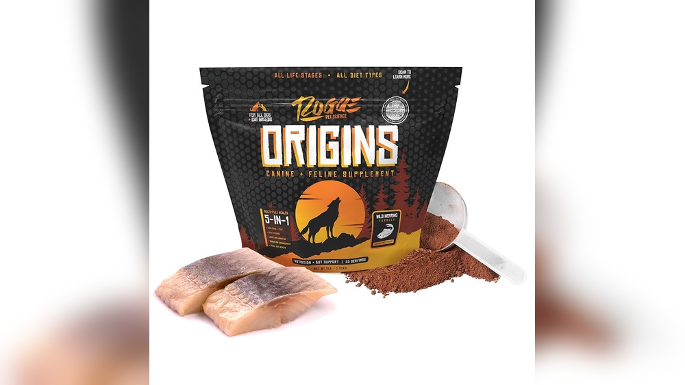 What Cat Breeds Itch the Most: Top 5 Itchy Feline Breeds Revealed