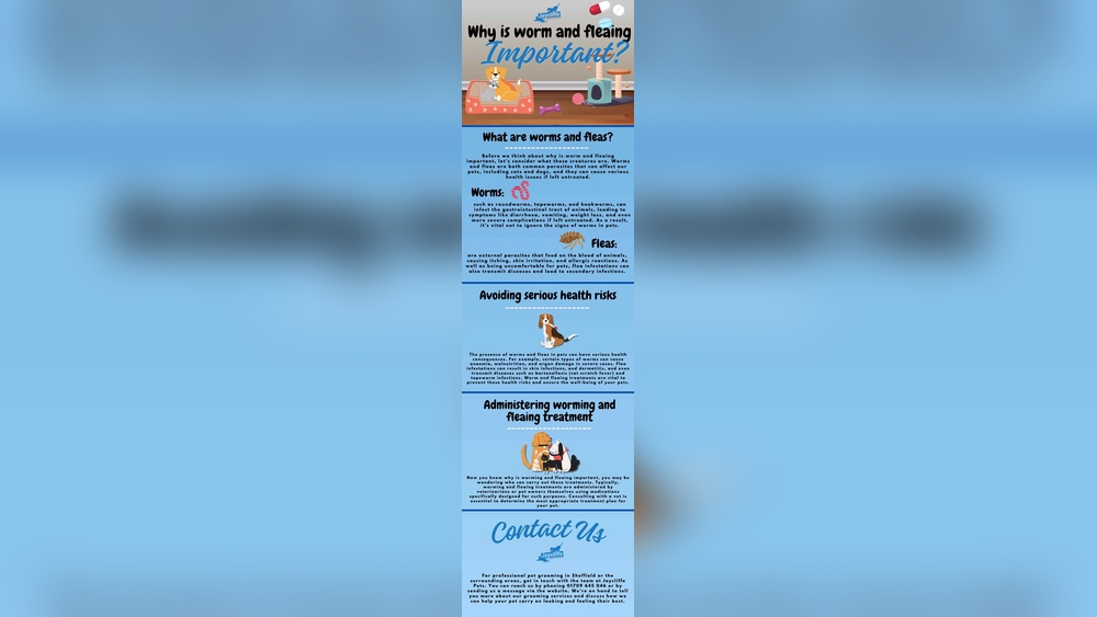 What Cat Breeds Itch Themselves the Most: Top 5 Itchy Cats Revealed