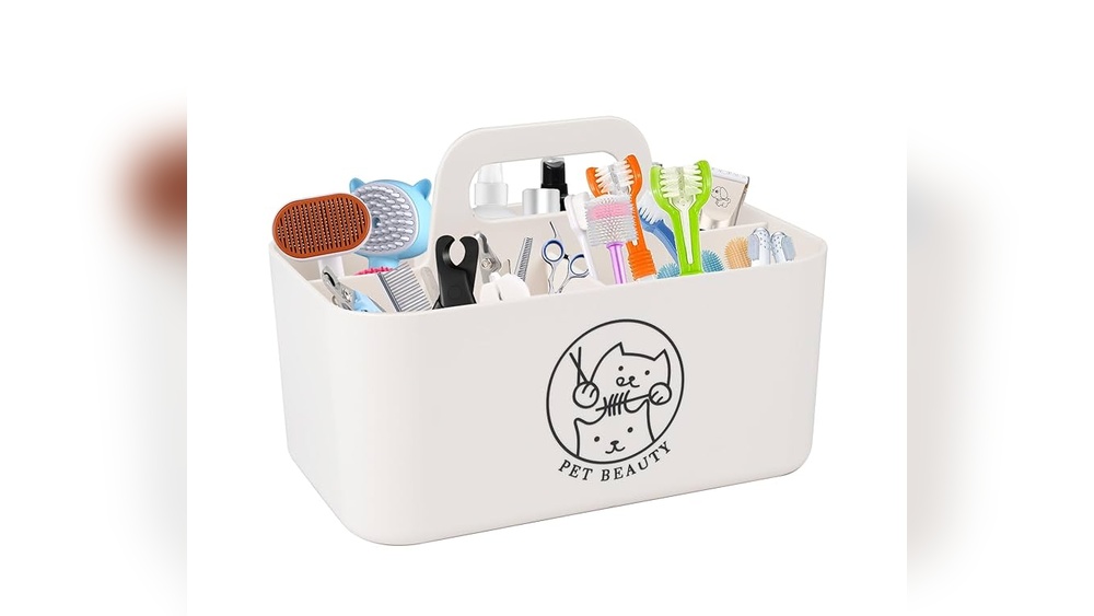 What Cat Grooming Stuff to Get: Essential Tools for Perfect Care