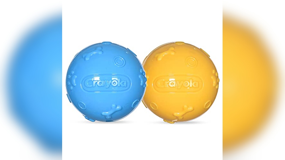 What Colors Do Cats See Best for Choosing Pet Toys and Accessories