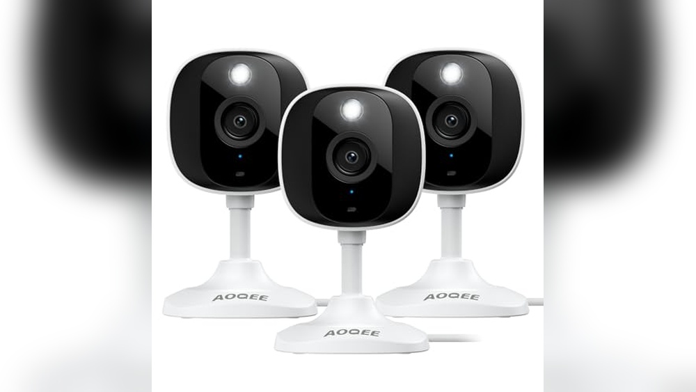 What Colors Do Cats See the Best for Toys and Home Security Cameras?