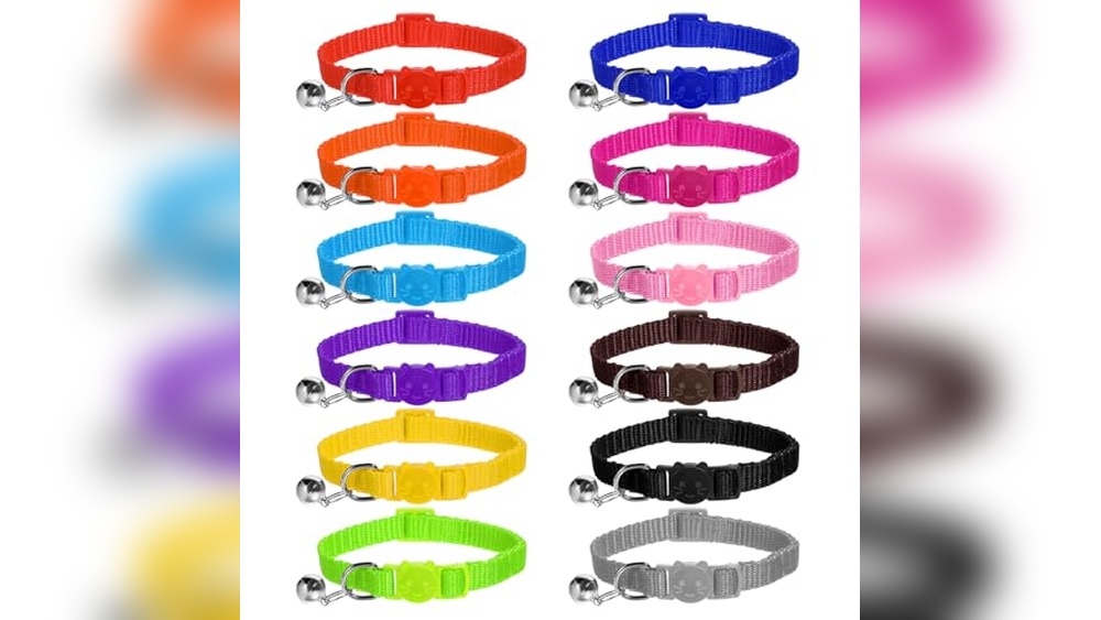 What Colours Do Cats Like Best for Collars and Toys?