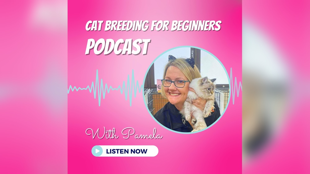What Do You Call a Cat Breeder: Expert Terminology Explained