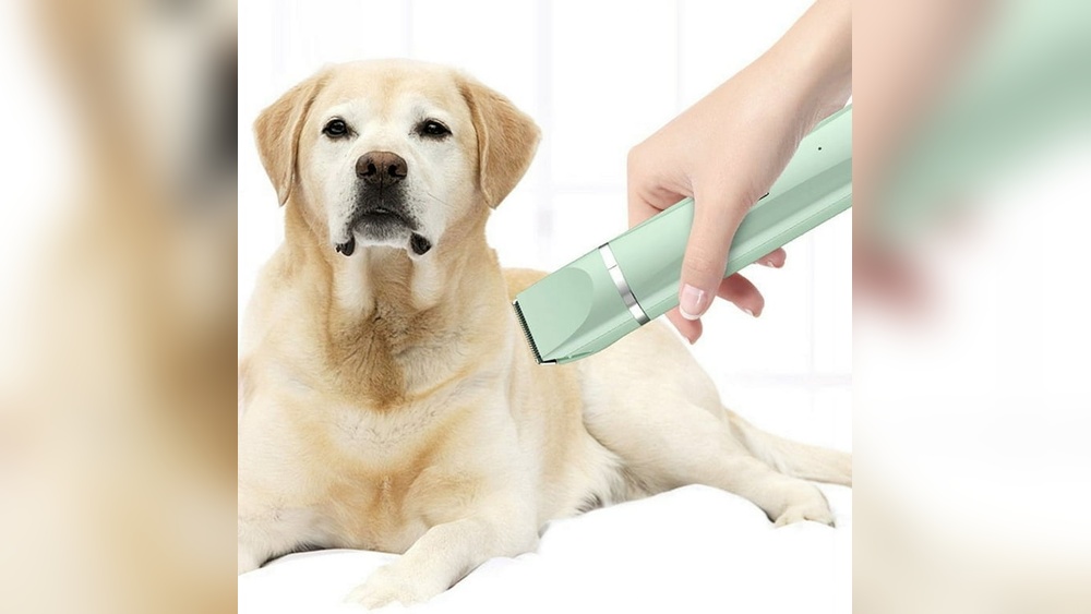 What Do You Use for Lubricant When Grooming a Cat: Top Safe Choices