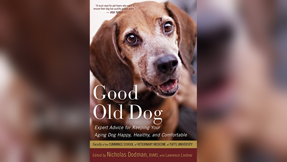 What Dog Breeds Are Best With Cats: Top Friendly Canine Choices