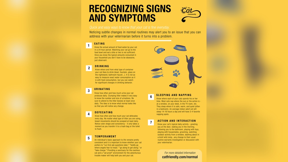 What is a Normal Amount of Cat Grooming: Essential Guide