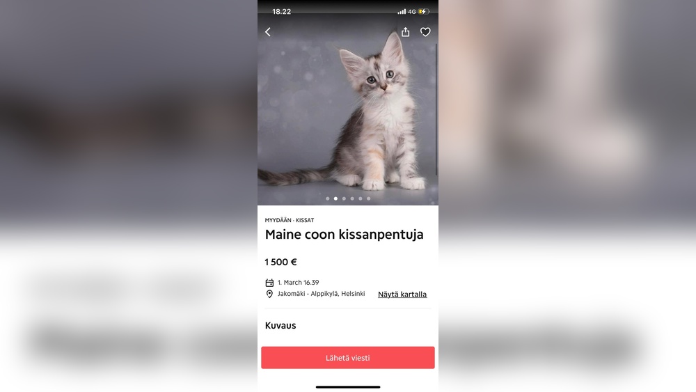 What is an Expensive Cat from a Breeder: Ultimate Guide to Luxury Pets