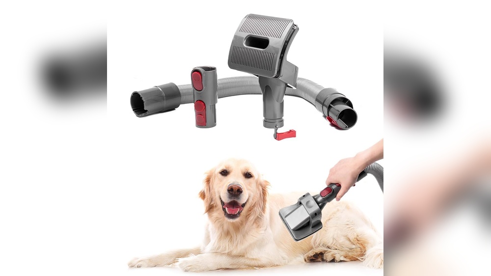 What is Included in Cat Grooming: Essential Care Tips Revealed