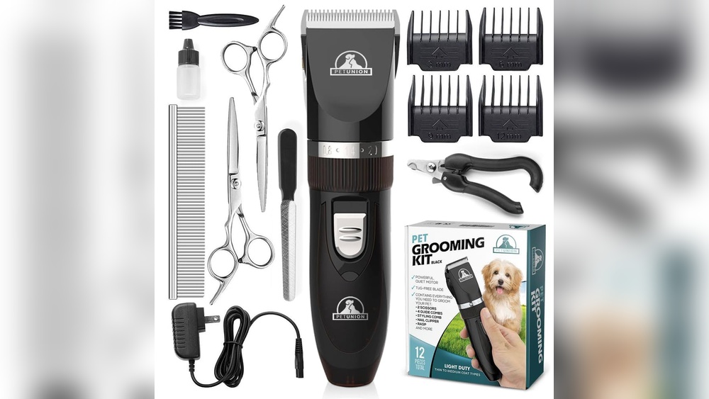 What is Lowest You Can Groom Your Cat: Expert Tips Revealed