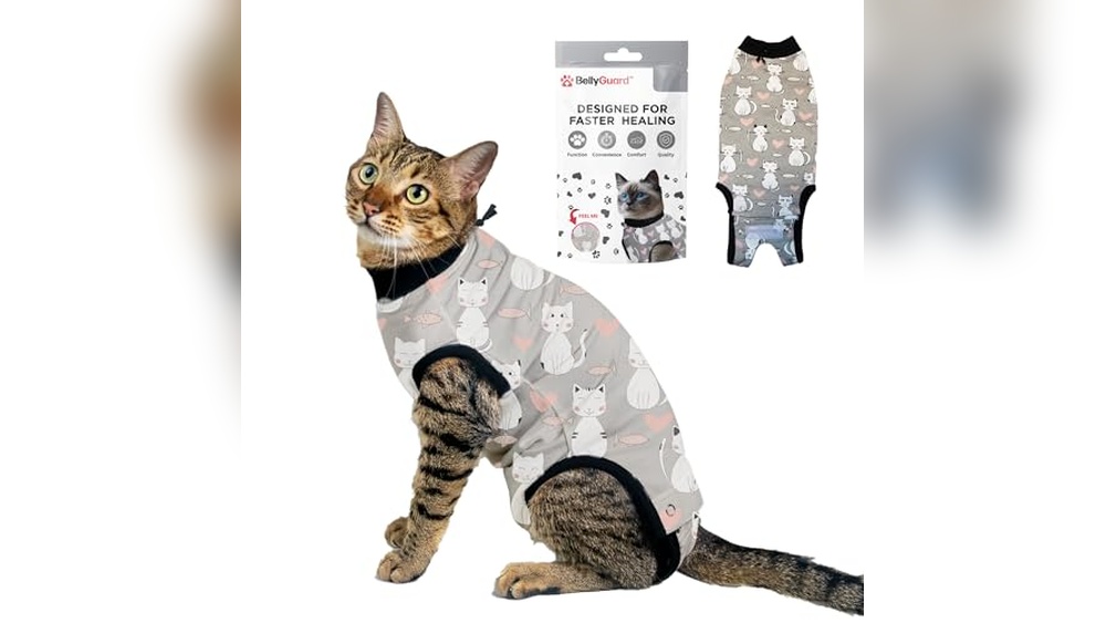 What is the Best Age to Neuter a Cat for Smooth Recovery