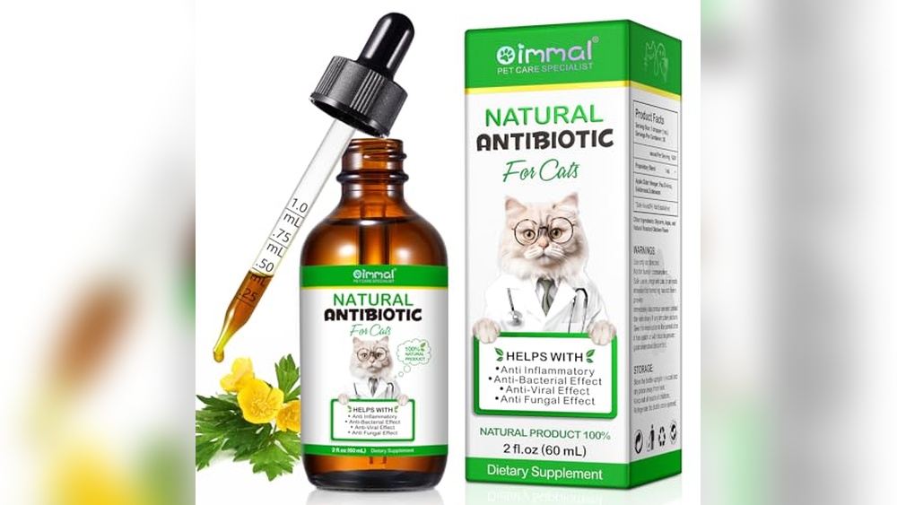 What is the Best Antibiotic for Cat Bites: Top Natural Remedies Reviewed