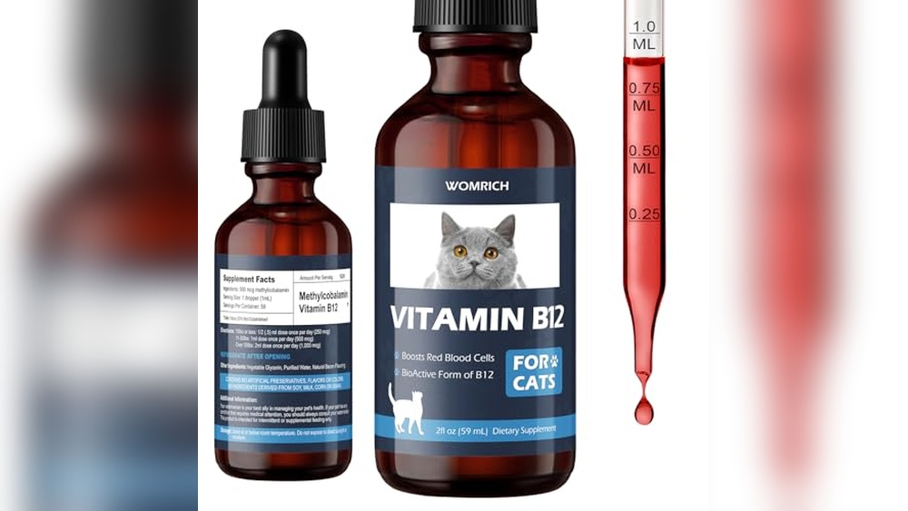 What is the Best Appetite Stimulant for Cats to Boost Energy and Health
