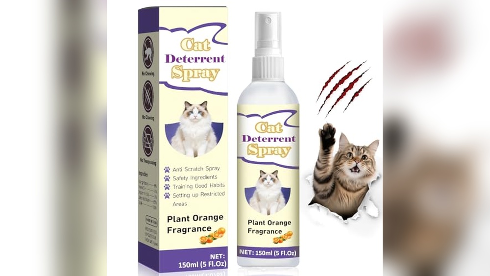What is the Best Cat Deterrent to Protect Your Home and Garden?
