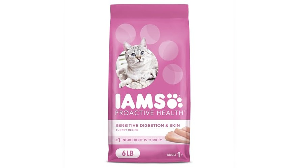 What is the Best Cat Food for Skin Allergies