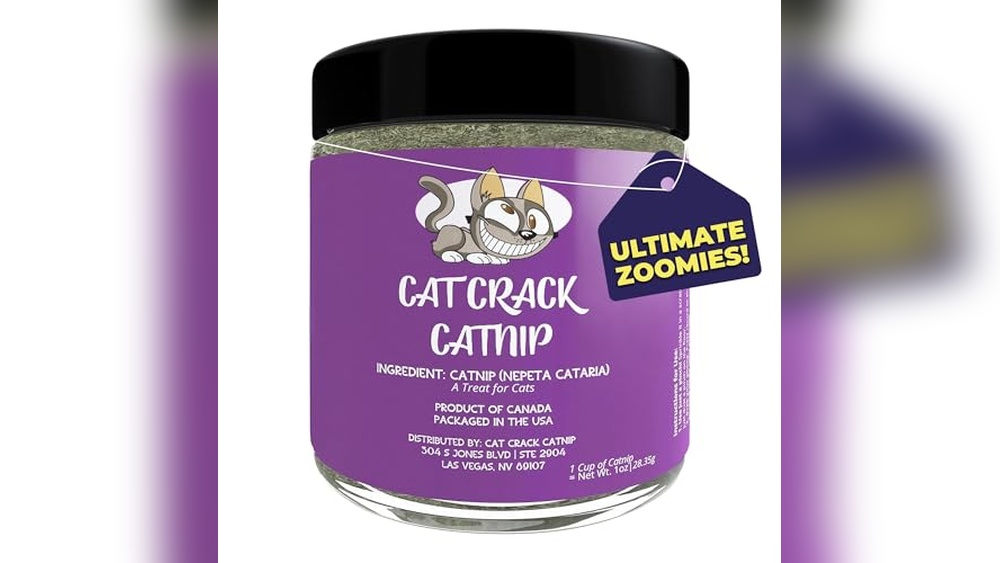 What is the Best Catnip for Cats: Top Natural Catnip Picks