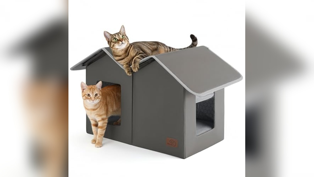 What is the Best House Cat Shelter for Outdoor Comfort and Protection?