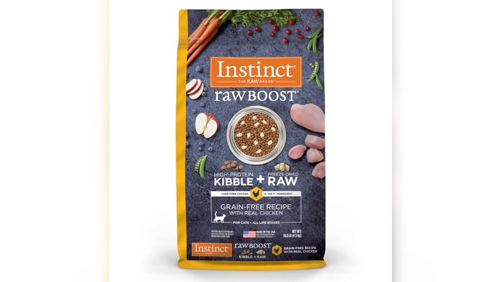What is the Best Raw Food for Cats: Top High-Protein Grain-Free Picks