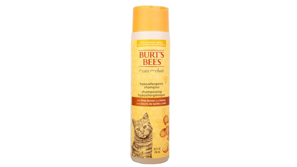 What is the Best Shampoo for Cats