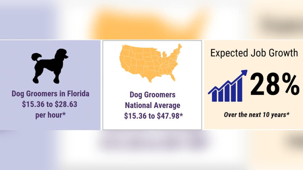 What is Typical Hourly Rate for Certified Cat Groomer: Revealed