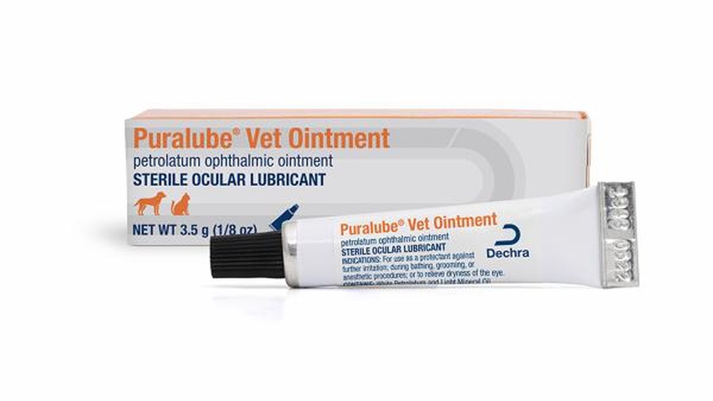 What Lubricant is Used When Grooming a Cat: Expert Tips Revealed