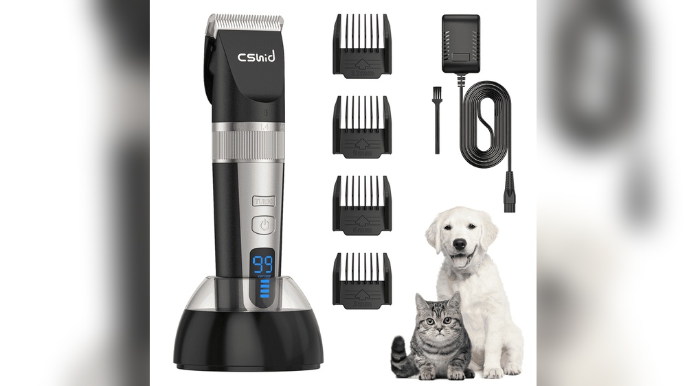 What Percent of Cats Lives Do the Groom: Surprising Facts Revealed