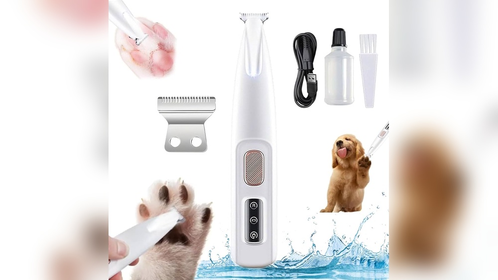 What Size Cat Blades for Grooming Cats: Expert Guide & Tips