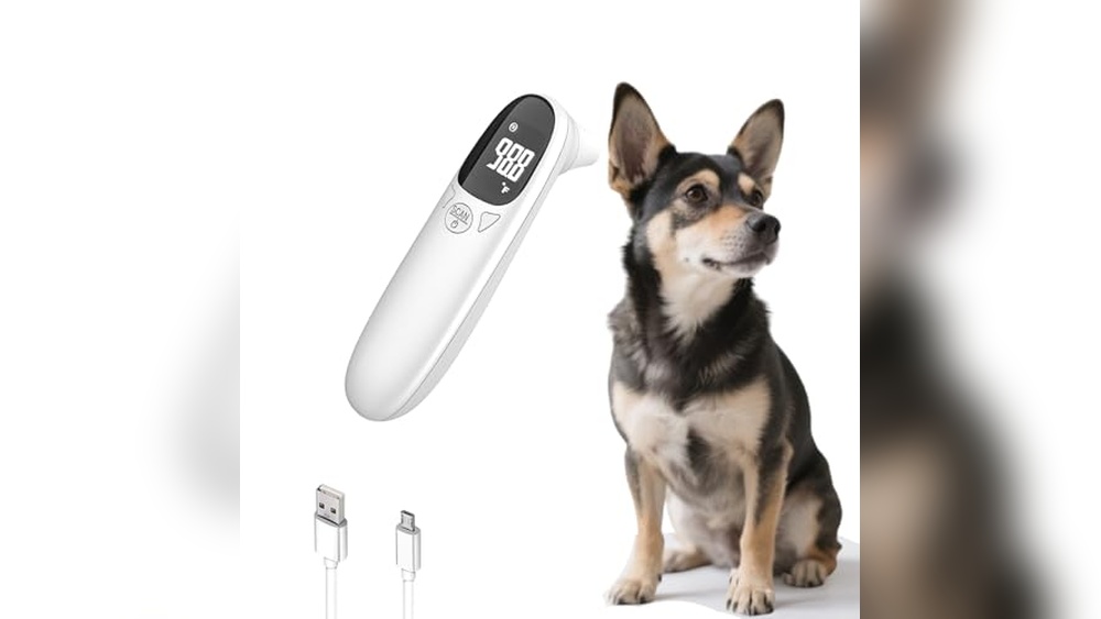 What Temperature Do Cats Like Best for Ultimate Comfort and Health