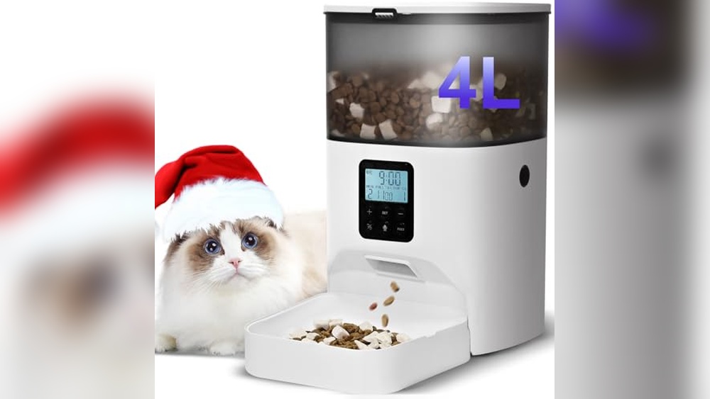 What Times are Best to Feed a Cat Using Automatic Feeders