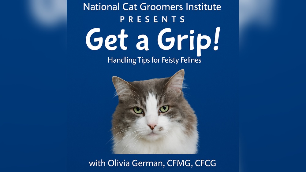 What to Give an Aggressive Cat for Grooming: Expert Tips Revealed