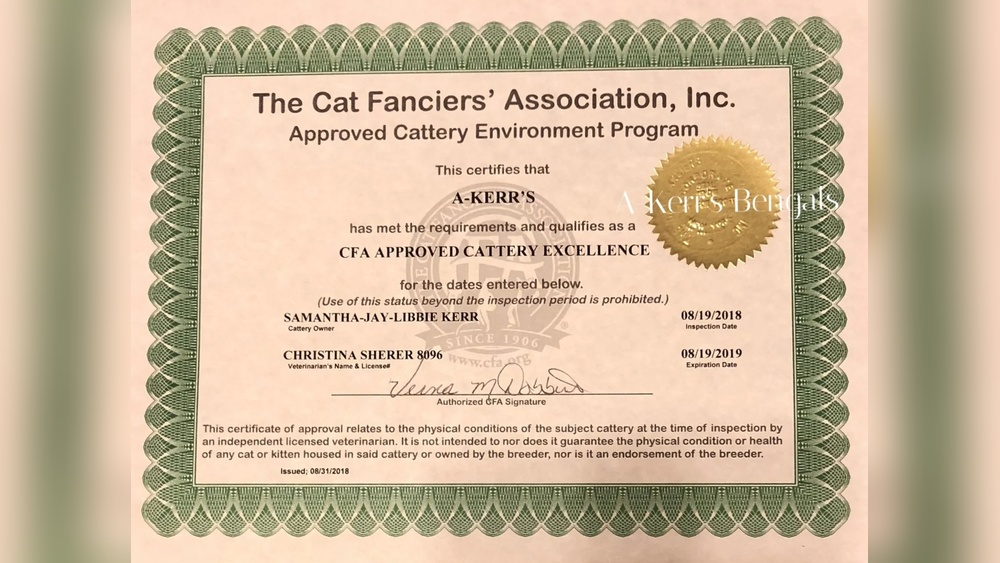 What to Know About Cat Breeding License: Essential Facts Revealed