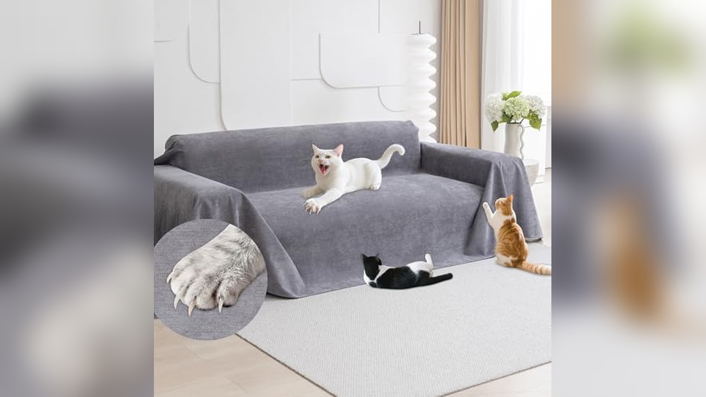 What Type of Couch is Best for Cats: Top Scratch-Resistant Picks