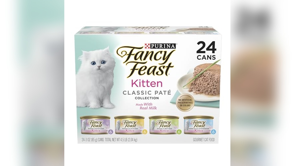 What Wet Cat Food is Best for Kittens: Top Nutritious Picks Reviewed