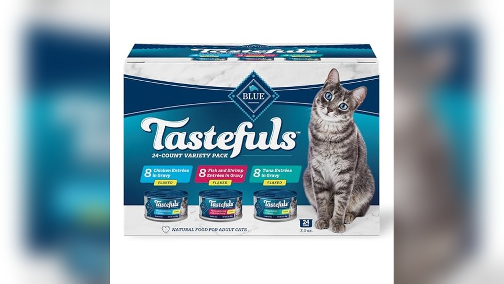 What'S the Best Wet Food for Cats