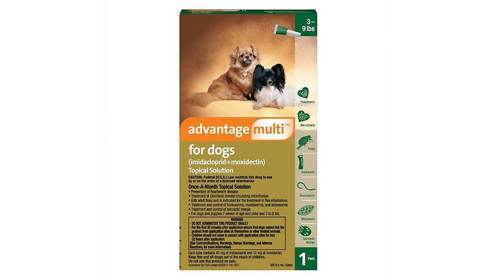 When Can Cat Groom After Advantge Muli: Essential Timing Tips