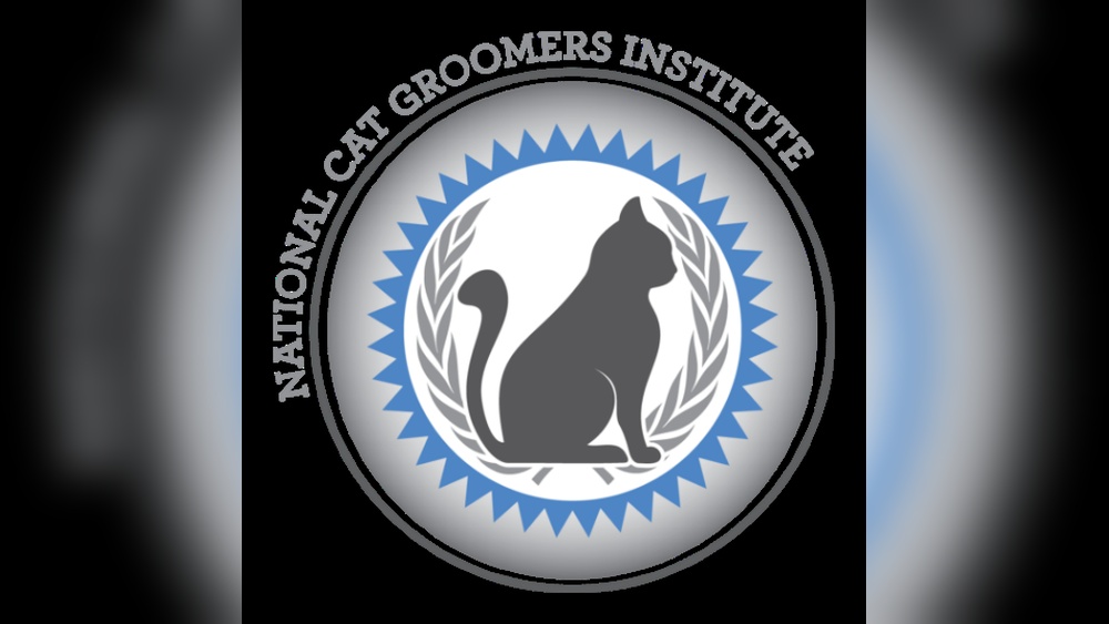 Where Can I Take Cat Grooming Classes: Top Spots Revealed