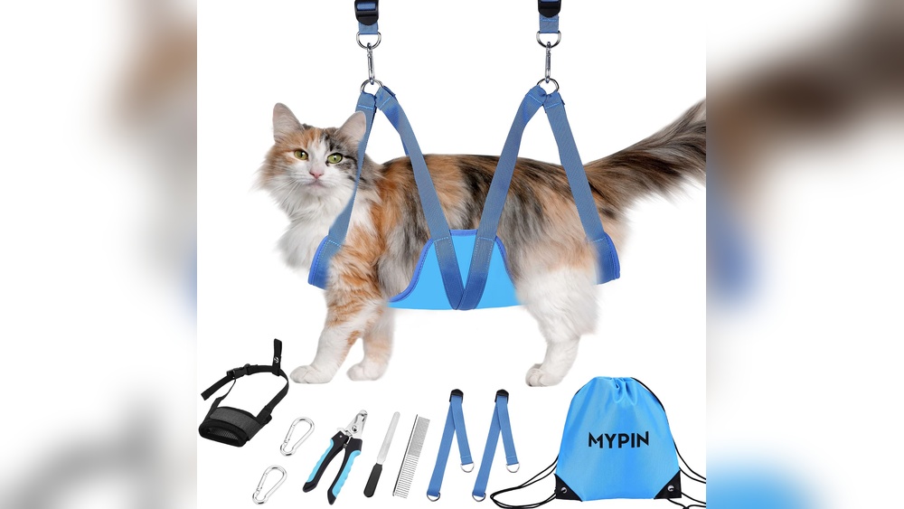 Where to Buy Cat Grooming Harness: Top Trusted Shops Revealed