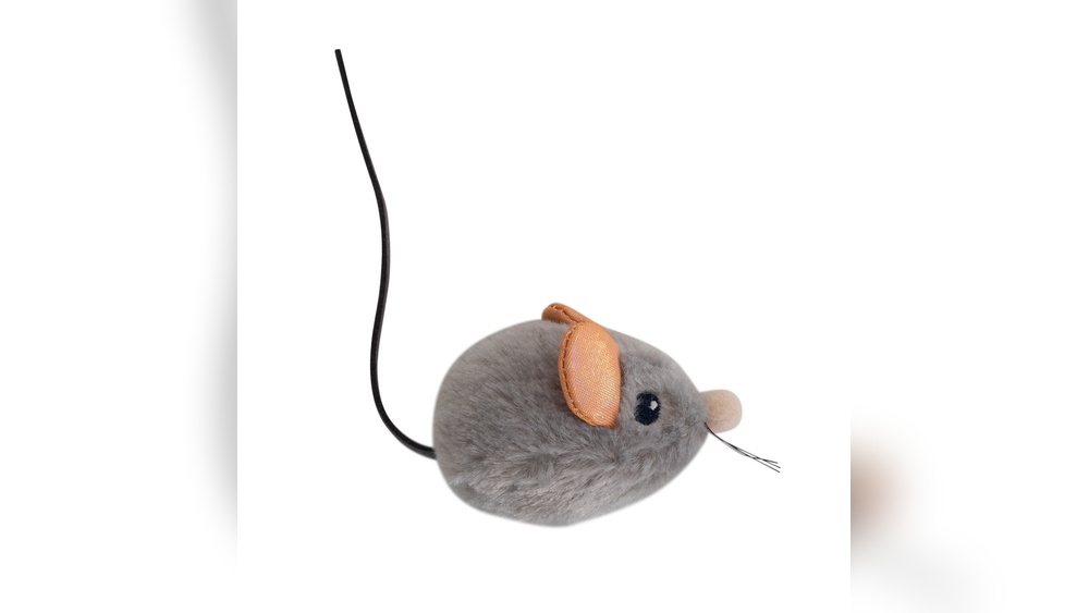 Where to Get Cat Toys: Top Spots for Fun & Affordable Finds