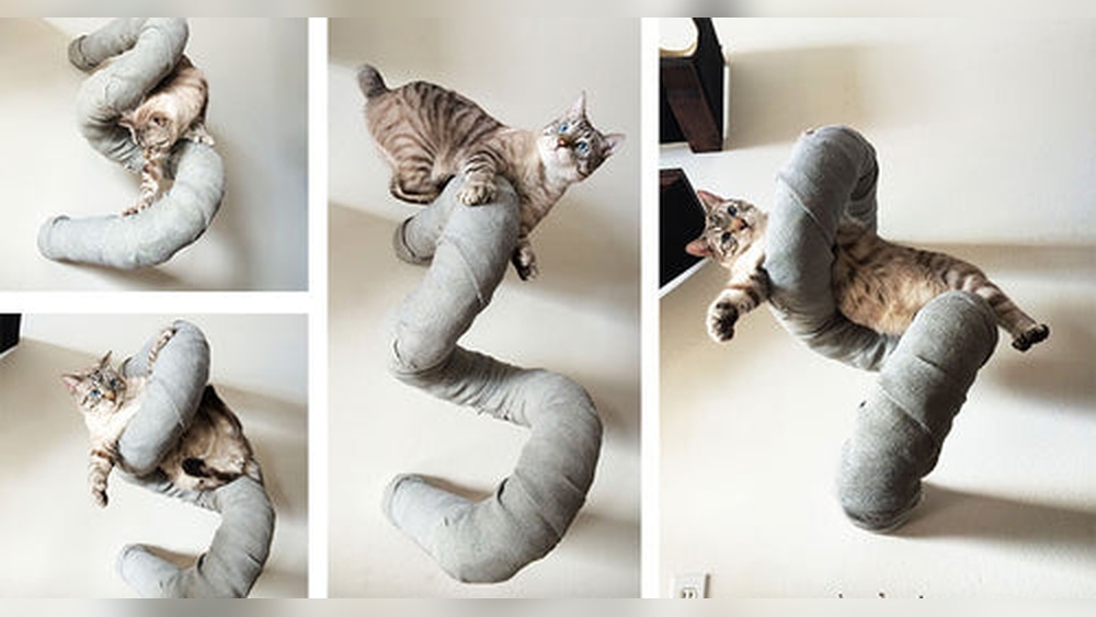 Where to Get Unique Cat Toys: Discover Hidden Gems Today