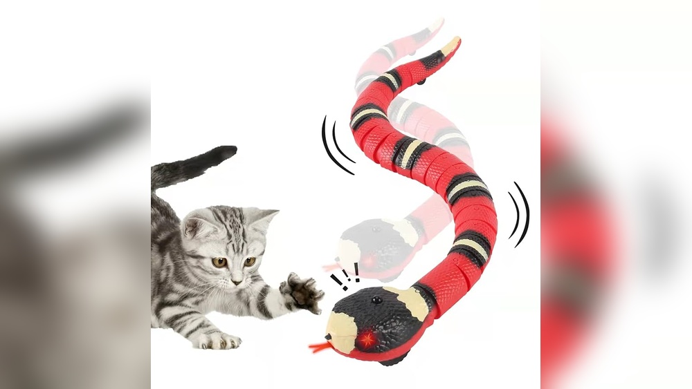 Where to Put Cats Toys: Ultimate Spots for Happy Playtime